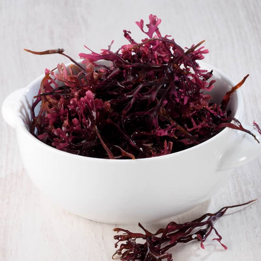 Benefits of Sea Moss: Dietary Guide and Tips