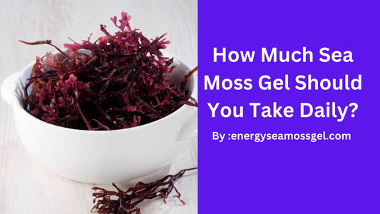 How Much Sea Moss Gel Should You Take Daily?