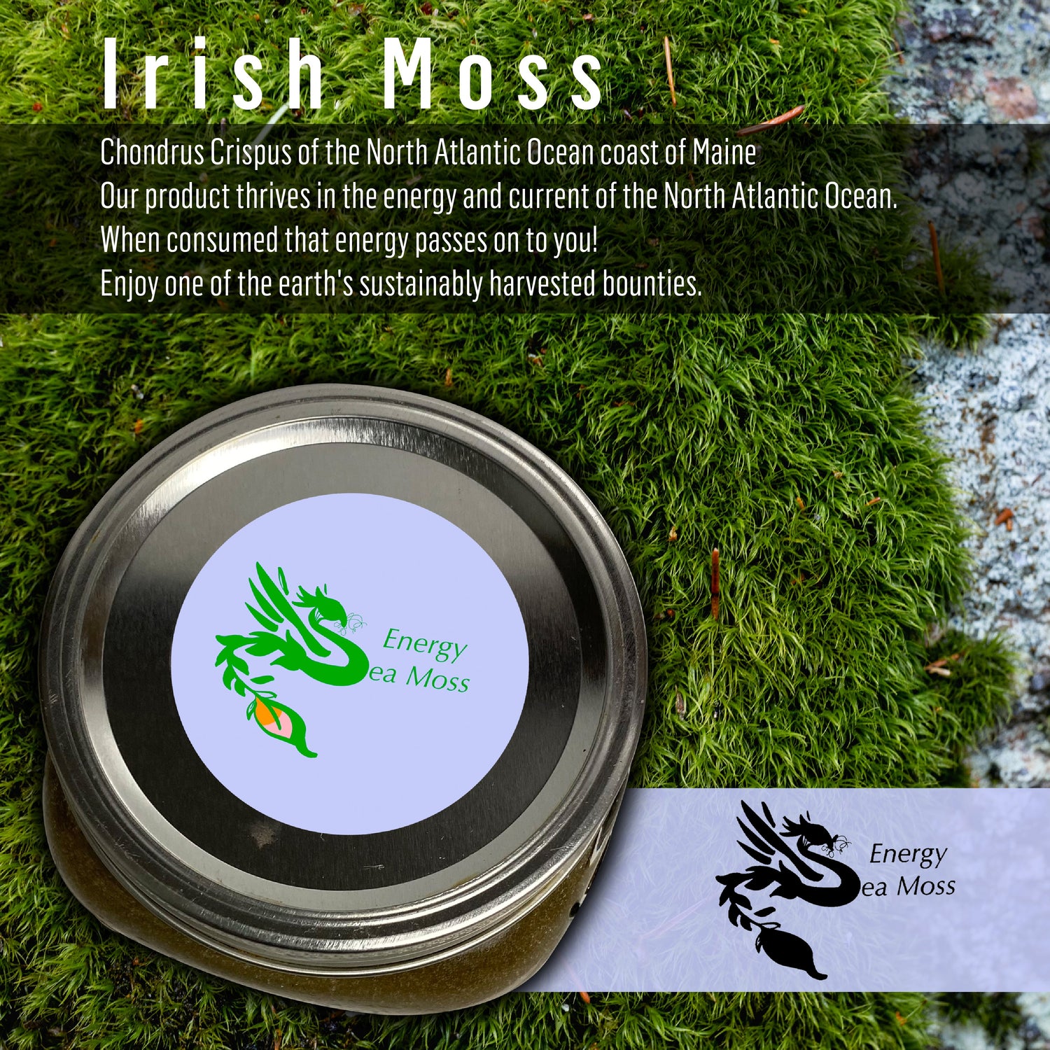 sea moss gel near me, best sea moss gel, irish sea moss gel, good stuff sea moss gel, organic sea moss gel, sea moss gel shark tank, how long does sea moss gel last,