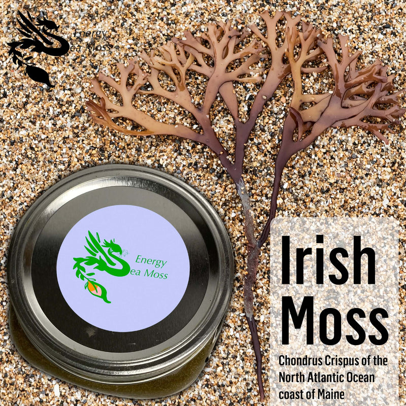 Energy Sea Moss Gel Original 8 oz