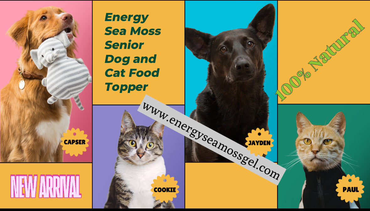 Energy Sea Moss- Senior Dogs and Cats Food Topper Powder - Energy Sea Moss